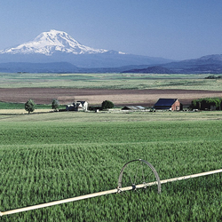 eastern washington