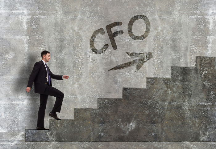 So, You Want to Be a Fractional CFO...?