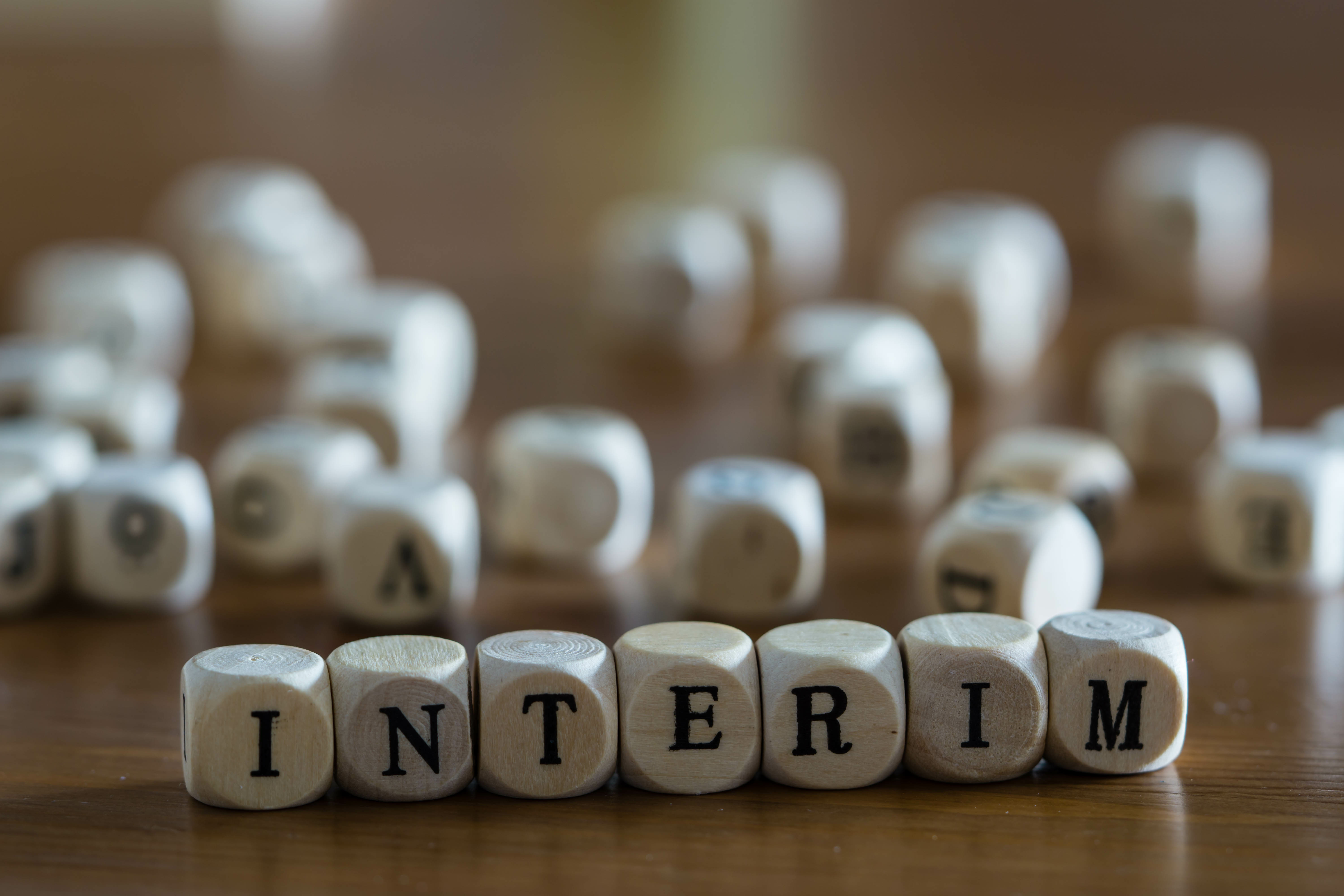 Do You Need a Professional Services Firm for an Interim Hire?