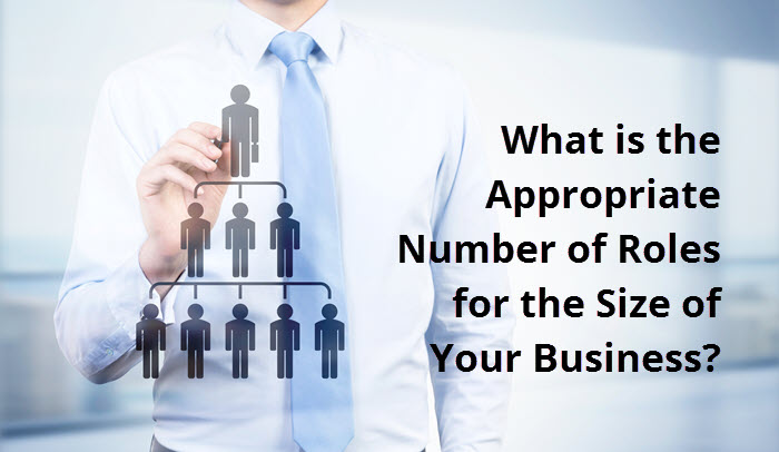 A person drawing an organizational chart beside the question What is the appropriate number of roles for the size of your business?
