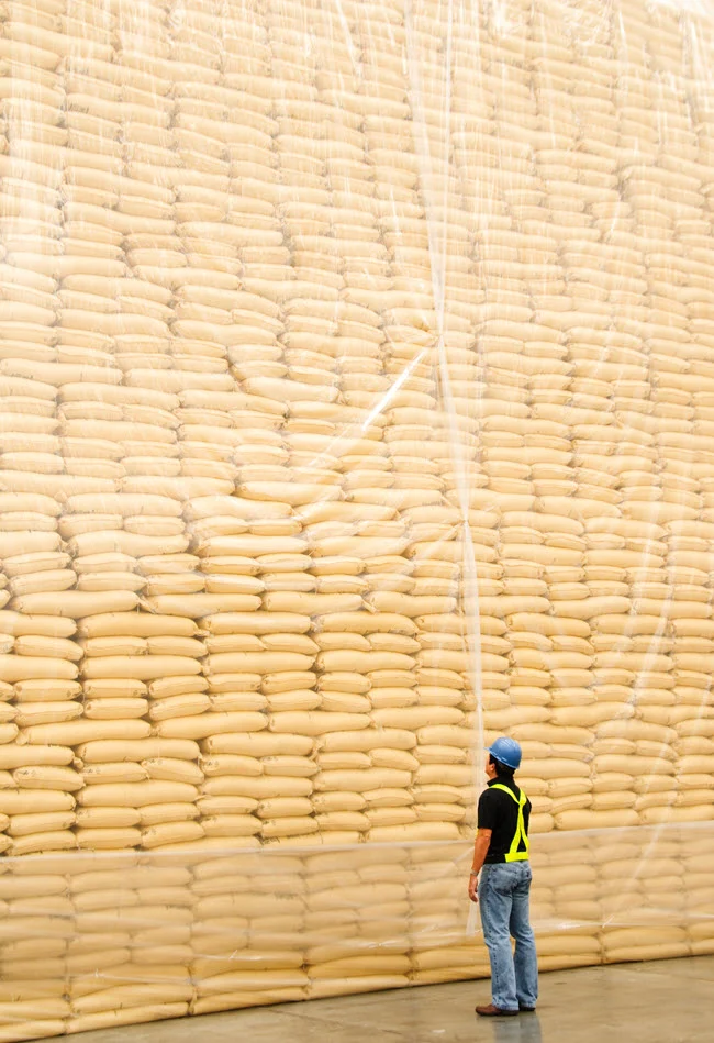 A worker standing beside a towering pile of grain in a storage warehouse.